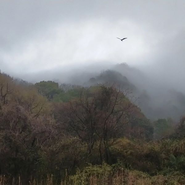 ここが、大阪